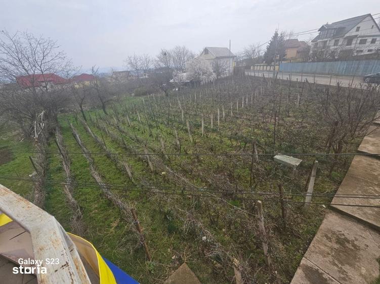 Casă cu 4 camere cu Teren 15000 Mp în Galata