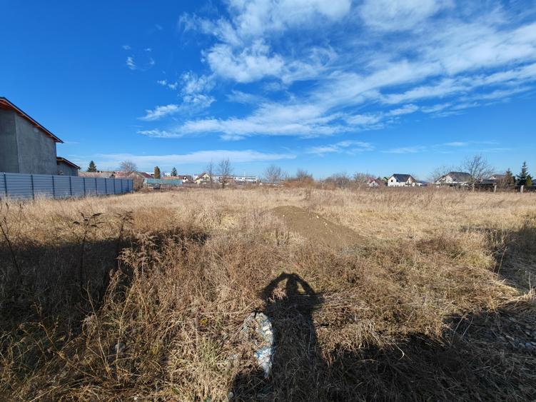 Teren Construcții intravilan de 565 mp, în Șerbănești