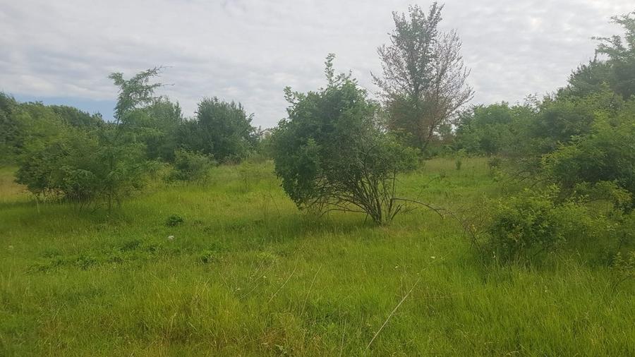 Teren Construcții intravilan de 2700 mp, în Pantelimon