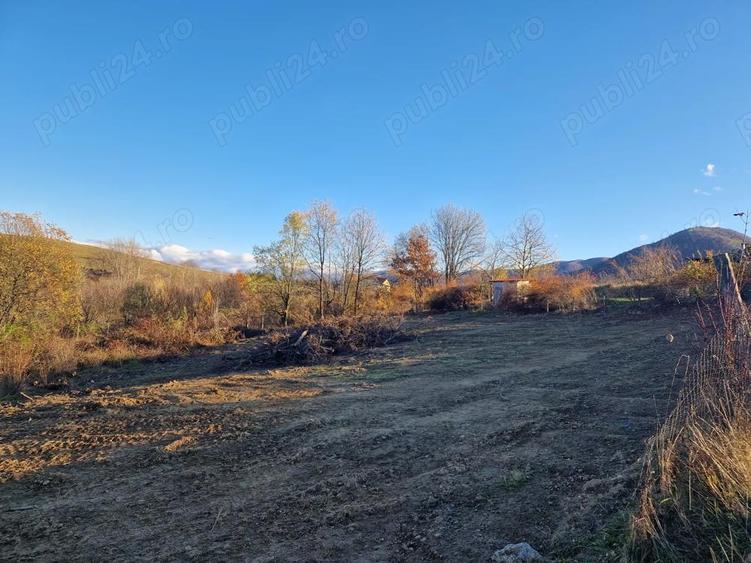 Teren de 1000 mp, în Cisnădioara