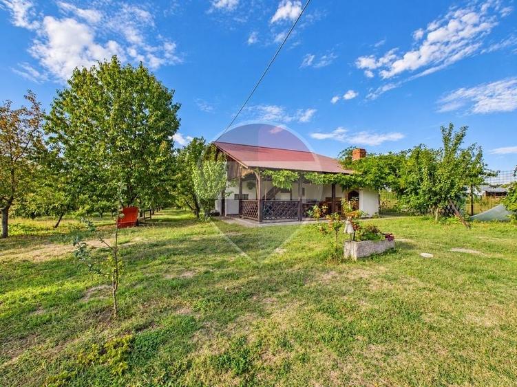 Casă individuală cu 6 camere cu Teren 7320 Mp în Curcani