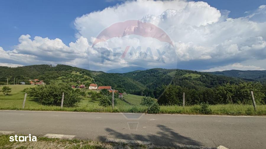 Teren de 128948 mp, în Negreni