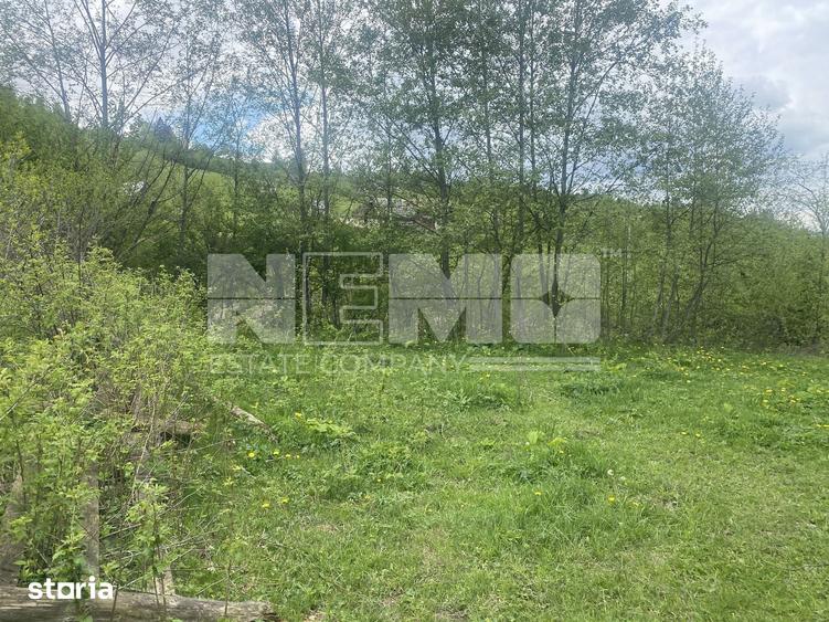 Teren de 3100 mp, în Frasin