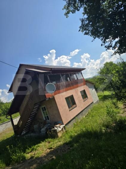 Teren agricol extravilan de 16000 mp, în Hodac