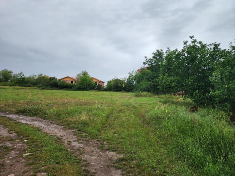 Teren Construcții extravilan de 1000 mp, în Giroc