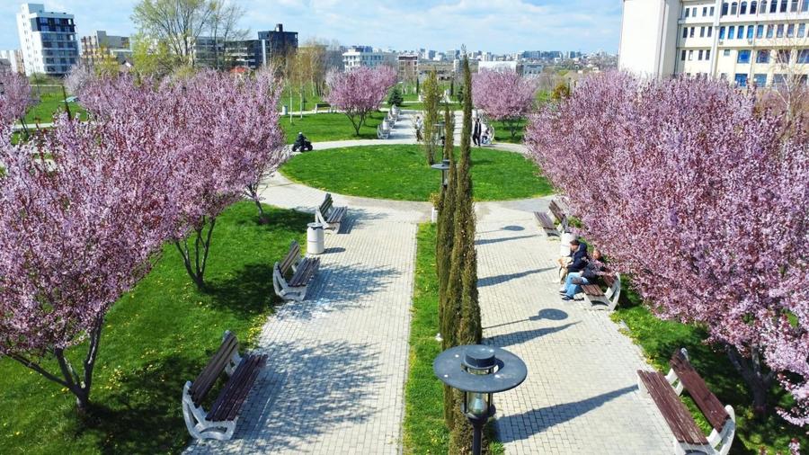 Apartament cu 3 camere decomandat, mobilat în Tomis Nord