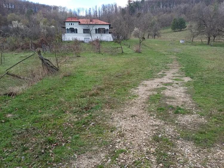 Casă cu 4 camere cu Teren 9000 Mp în Cotmeana