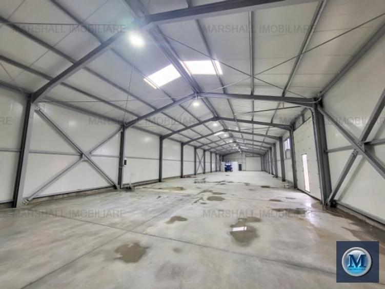 Spațiu industrial, de 600 mp, în Brazii de Sus