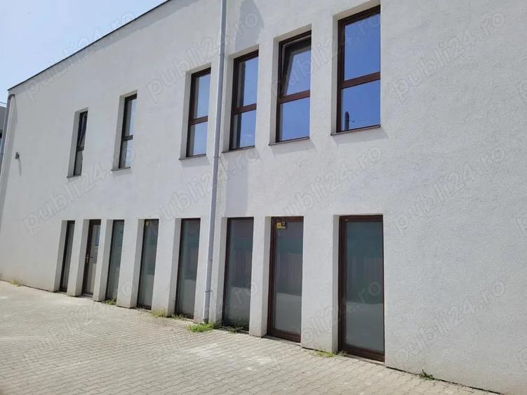 Spațiu comercial, de 250 mp, în Dumbrăvița