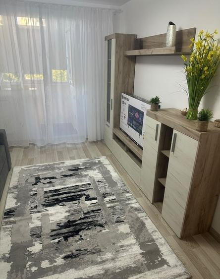 Berceni, str. Resita, ac, tv, renovat acum! - 5