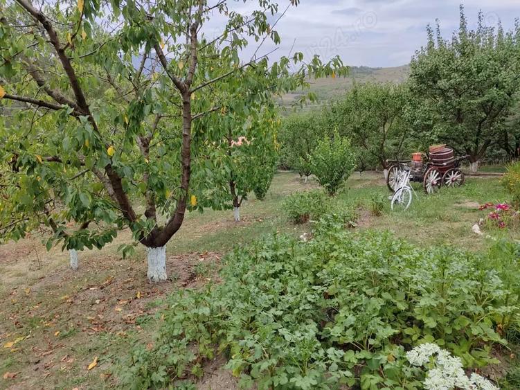 Teren în Trestia