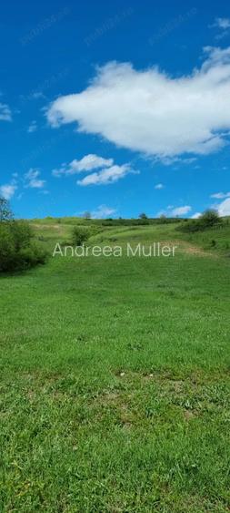 Teren zona com. Sanpaul, jud. Cluj