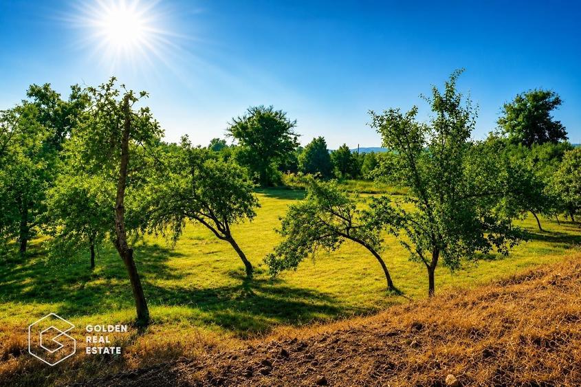 Teren agricol extravilan de 2504700 mp, în Șiștarovăț