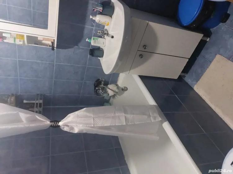 Apartament cu 2 camere semidecomandat în Brezoi
