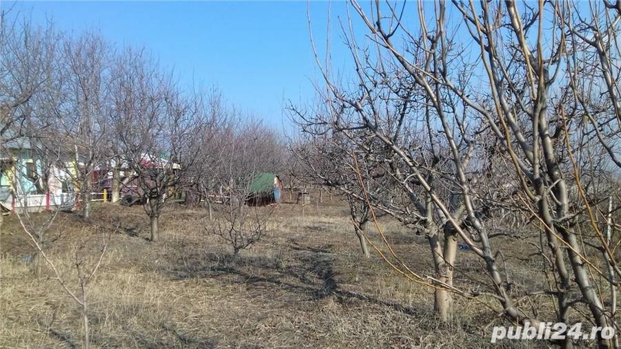 Teren de 2300 mp, în Blidari (Cârligele)
