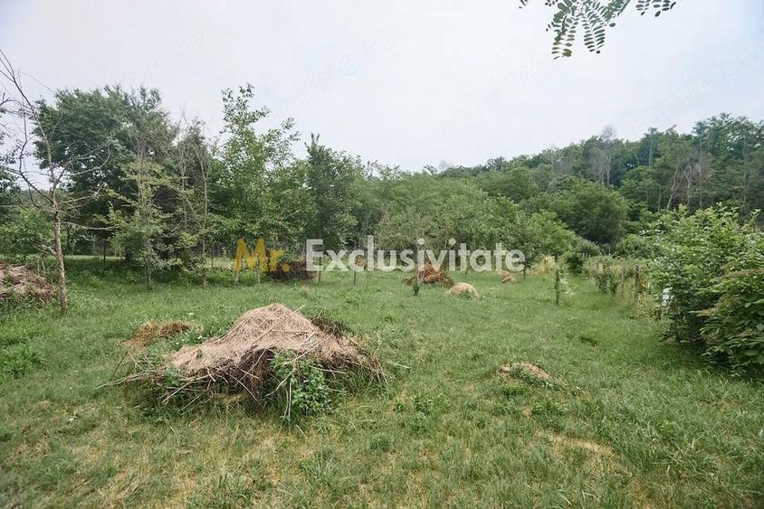 Teren de 2240 mp, în Moșoaia