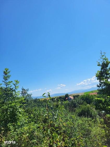 Teren de 1500 mp, în Ilieni