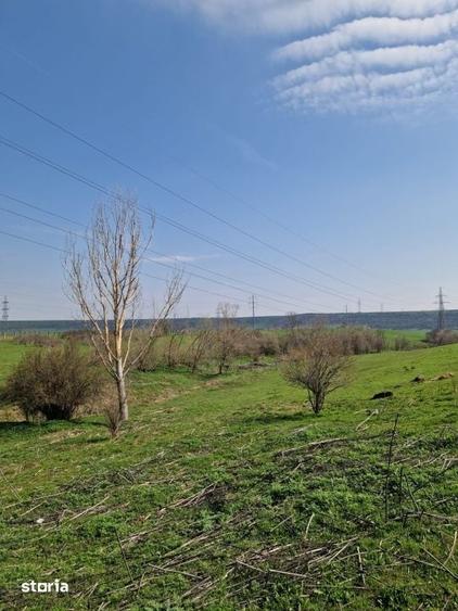 Teren de 79106 mp, în Central