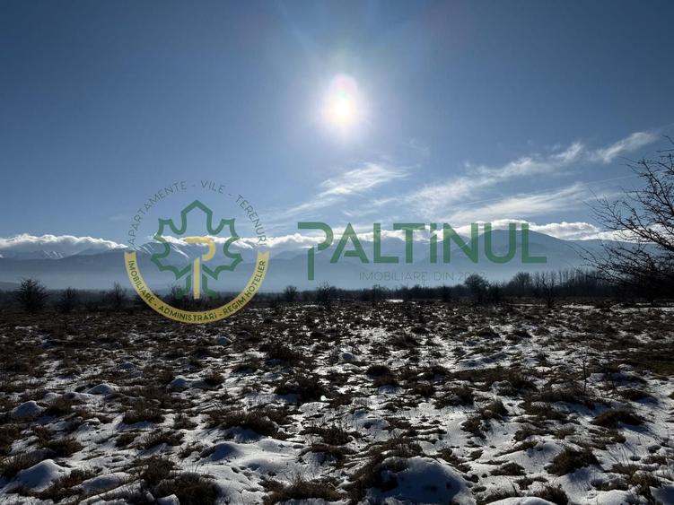 Teren agricol extravilan de 3600 mp, în Exterior Sud