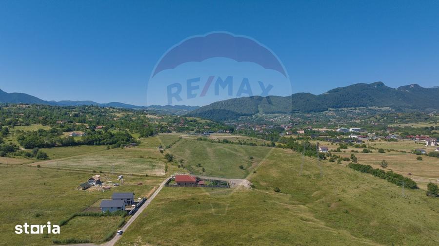 Teren Tohanu Nou, intrare Sohodol, 4800mp - 15