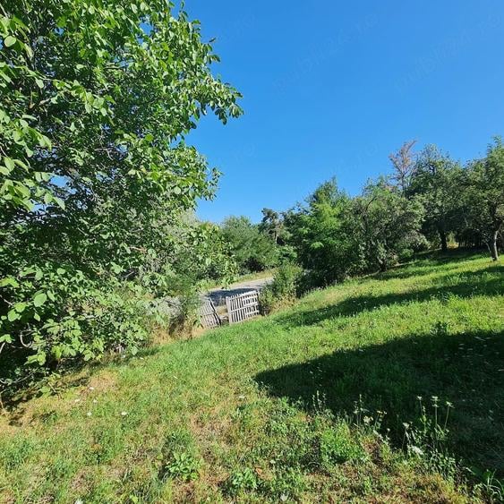 Teren de 7500 mp, în Prosia