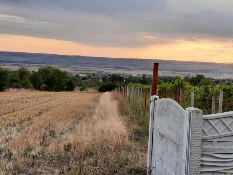 Teren de 1500 mp, în Central