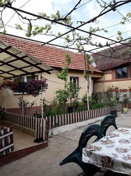 Casă cu 3 camere cu Teren 1800 Mp în Baldovin
