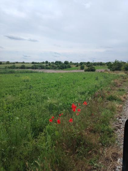 Teren Construcții intravilan de 1000 mp, în Măriuța