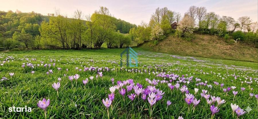 Teren intravilan 6.839 mp Manastirea Humorului , Bucovina - 7