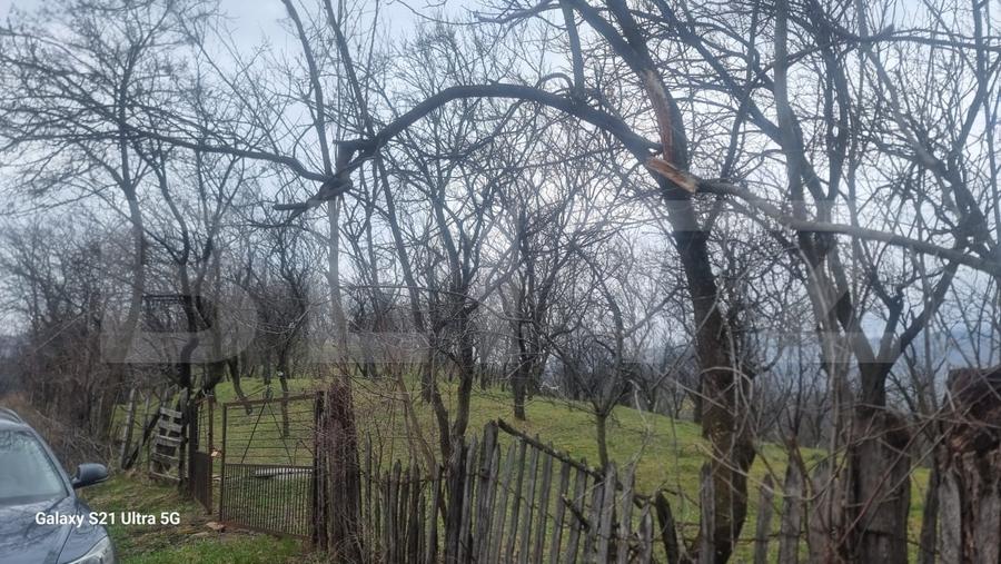 Teren Construcții intravilan de 3781 mp, în Schiulești