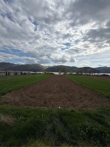 Teren de 1400 mp, în Central