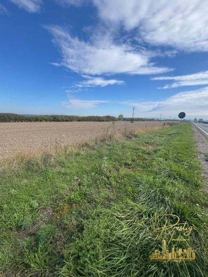 Teren agricol extravilan de 21496 mp, în Săcădat
