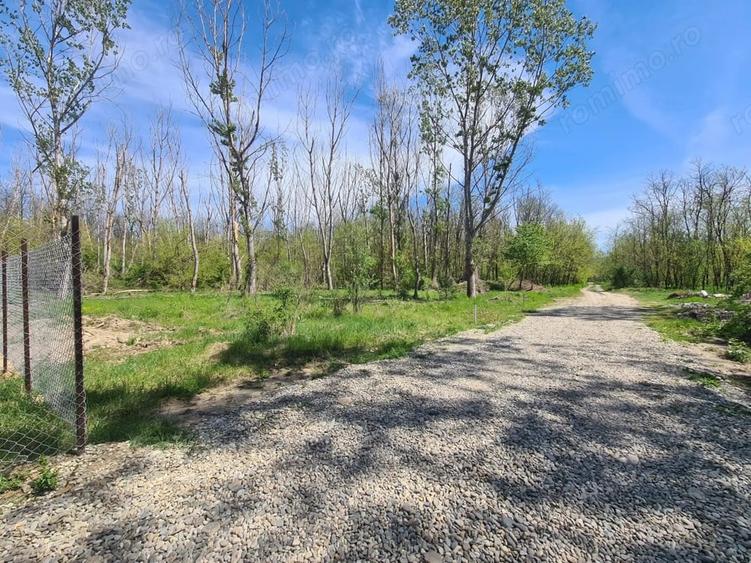 Teren de 5300 mp, în Agrement Ostroveni