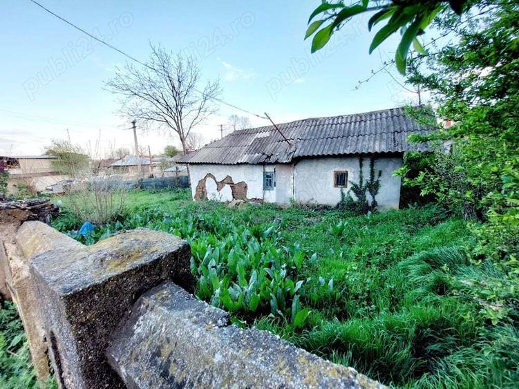 Vand Casa Maldaeni - 1