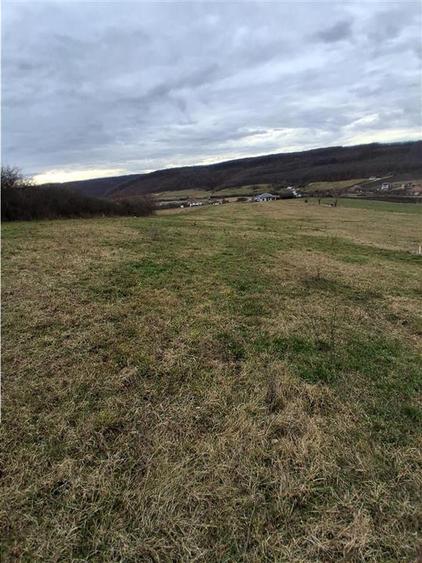 Teren Construcții intravilan de 5487 mp, în Betfia