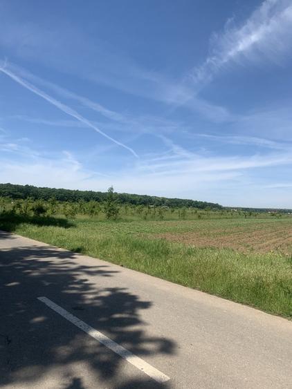 Teren intravilan de 10500 mp, în Cosoba