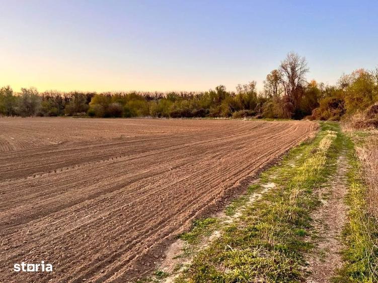 Teren de 19068 mp, în Malul Mureșului
