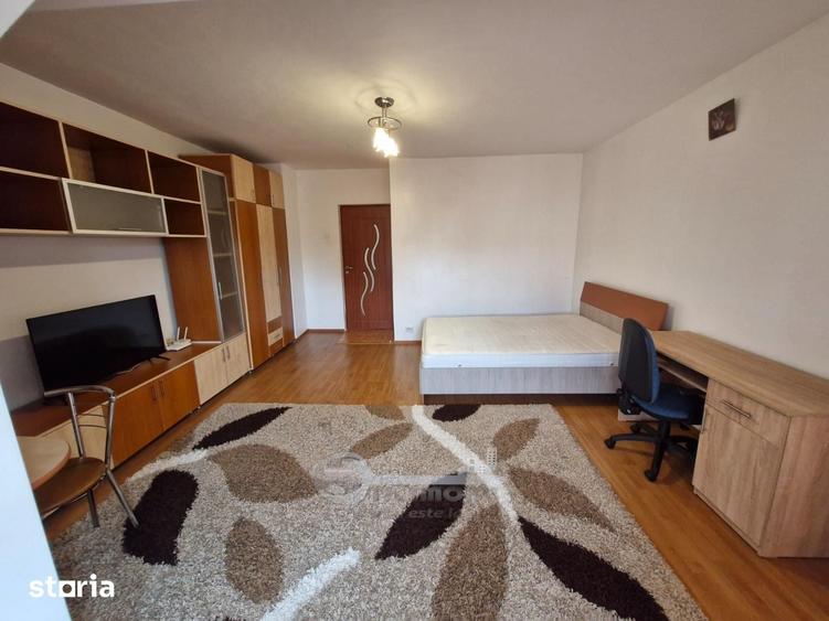 Apartament 1 Camera Decomandat Nicolina-Lidl - 8
