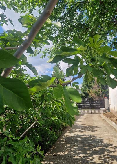 Casă cu 4 camere în Tecuci