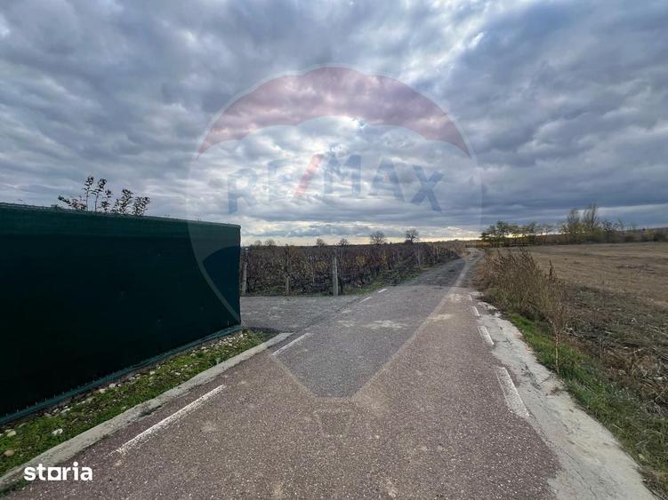 Teren de 915 mp, în Cârligele