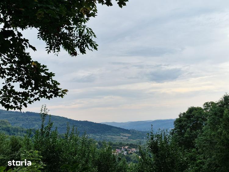 Teren de 2600 mp, în Sud