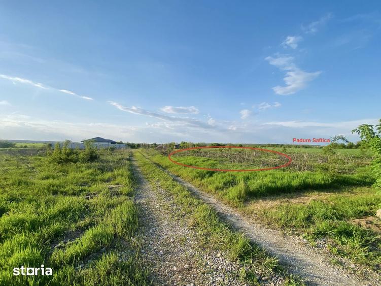 Teren de 670 mp, în Balotești