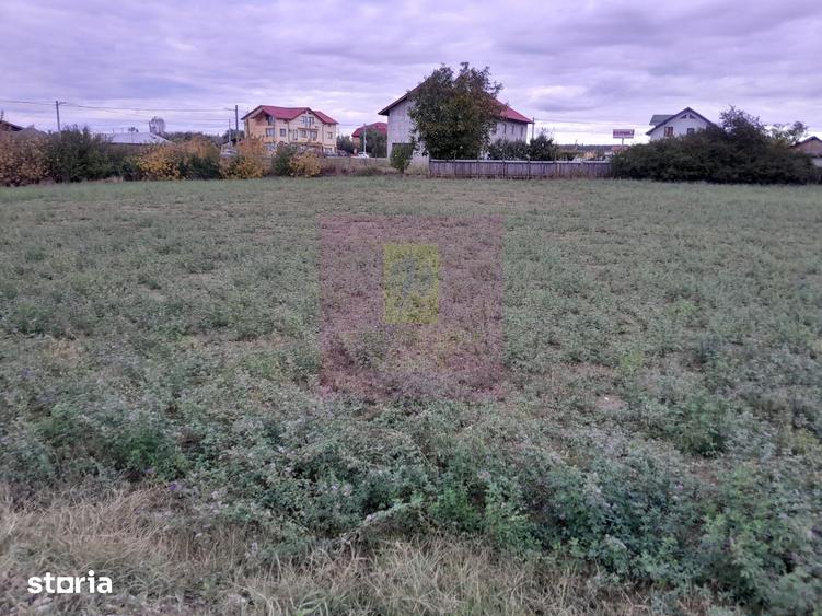 Teren de 2062 mp, în Manasia