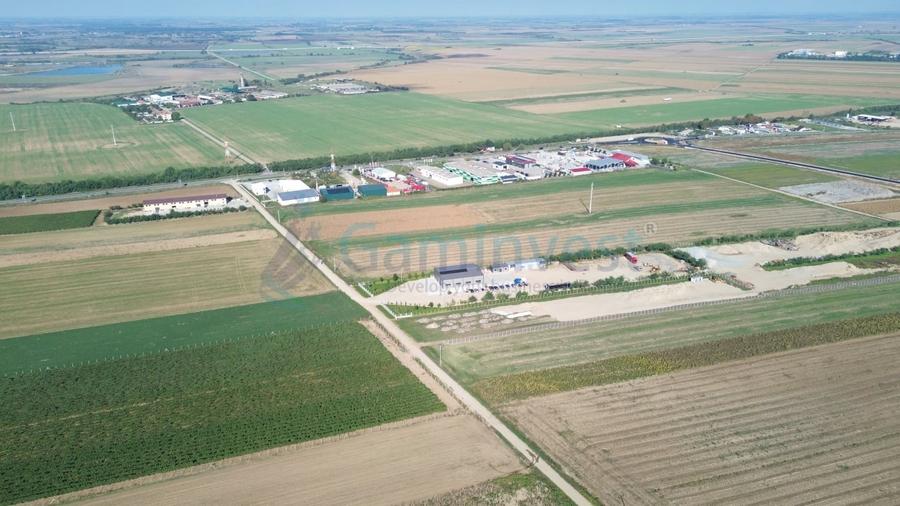 Teren Construcții intravilan de 66400 mp, în Biharia