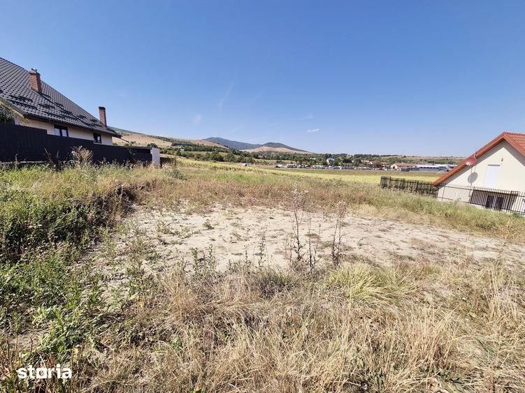 Teren de 450 mp, în Gârcina