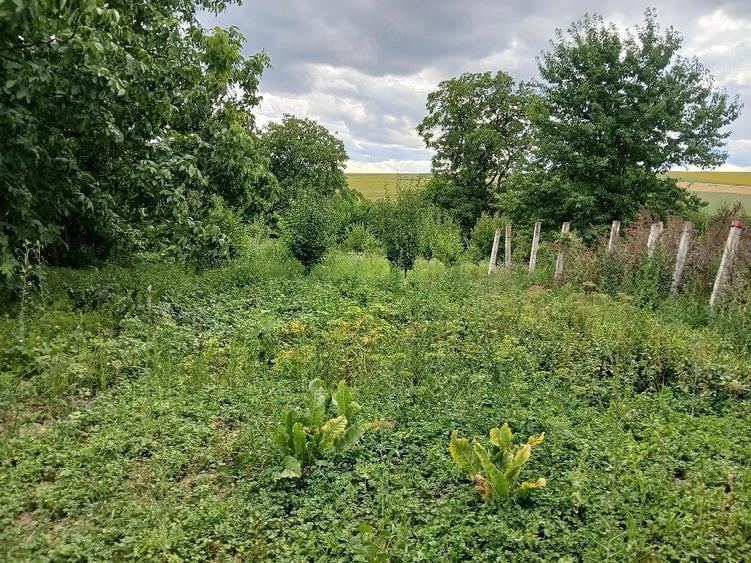 Casă cu Teren 2500 Mp în Brițcani