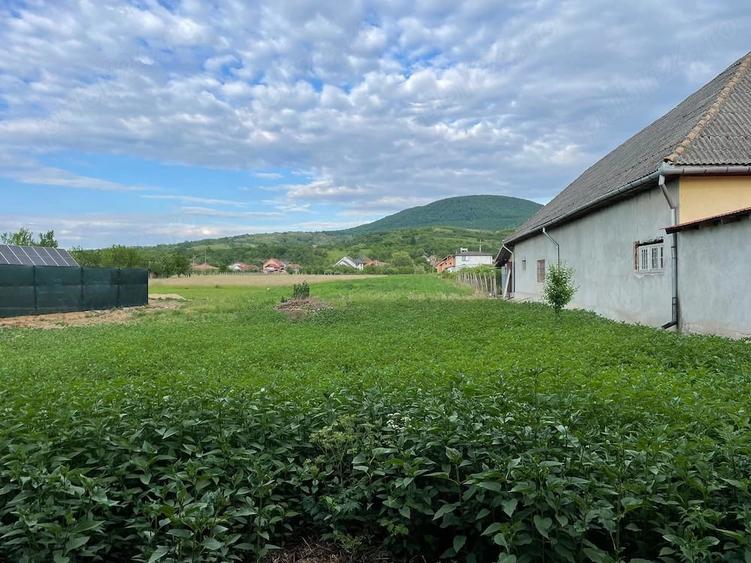 Casă cu Teren 4442 Mp în Viile Apei