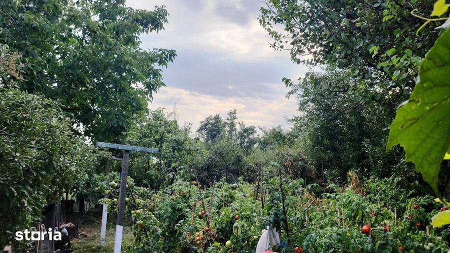Casă cu 5 camere cu Teren 933 Mp în Mărăcineni