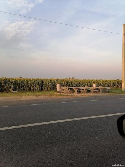 Teren de 5000 mp, în Osica de Sus