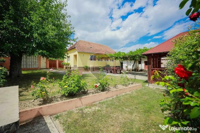 Casă cu 3 camere cu Teren 8788 Mp în Forosig